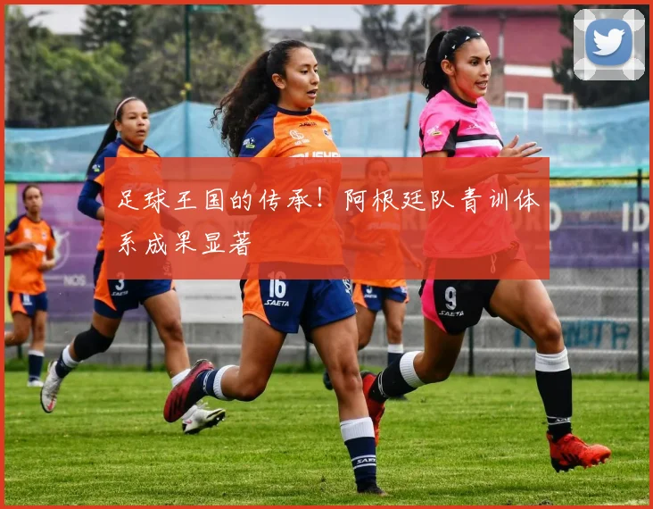足球王国的传承！阿根廷队青训体系成果显著