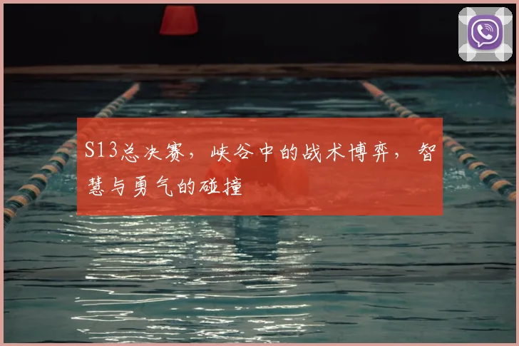 S13总决赛，峡谷中的战术博弈，智慧与勇气的碰撞
