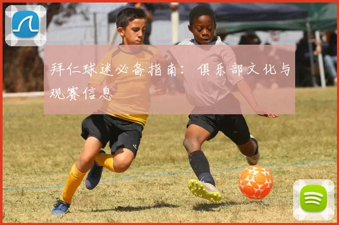 拜仁球迷必备指南：俱乐部文化与观赛信息
